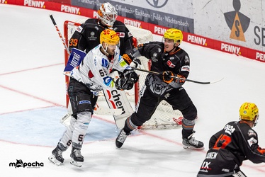 Löwen Frankfurt - Fischtown Pinguins - 21.9.23 - 092