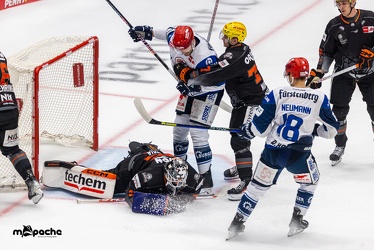 Löwen Frankfurt - Schwenninger Wildwings - 3.10.23 - 035