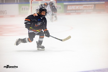 Löwen Frankfurt - Schwenninger Wildwings - 3.10.23 - 100