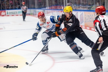 Löwen Frankfurt - Schwenninger Wildwings - 3.10.23 - 121