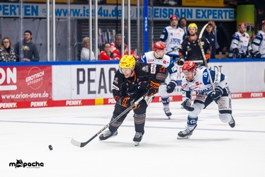 Löwen Frankfurt - Schwenninger Wildwings - 3.10.23 - 122