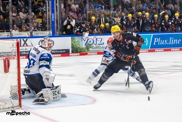 Löwen Frankfurt - Schwenninger Wildwings - 3.10.23 - 123