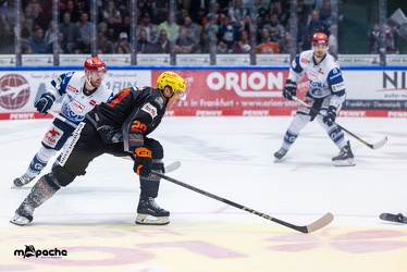 Löwen Frankfurt - Schwenninger Wildwings - 3.10.23 - 126