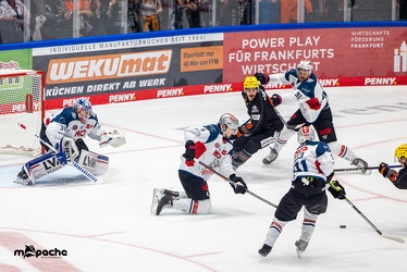Löwen Frankfurt - Nürnberg Icetigers - 8.10.23 - 024