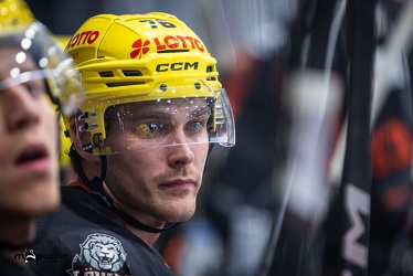 Löwen Frankfurt - Nürnberg Icetigers - 8.10.23 - 031