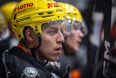 Löwen Frankfurt - Nürnberg Icetigers - 8.10.23 - 032
