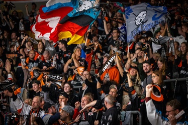 Löwen Frankfurt - Nürnberg Icetigers - 8.10.23 - 038