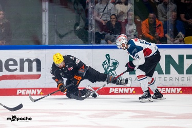 Löwen Frankfurt - Nürnberg Icetigers - 8.10.23 - 044