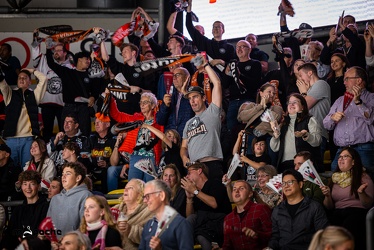 Löwen Frankfurt - Nürnberg Icetigers - 8.10.23 - 062