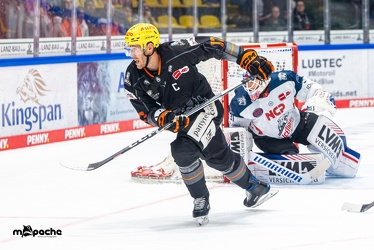 Löwen Frankfurt - Nürnberg Icetigers - 8.10.23 - 073