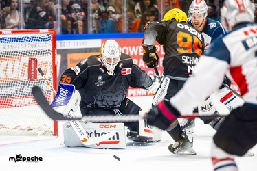 Löwen Frankfurt - Nürnberg Icetigers - 8.10.23 - 077