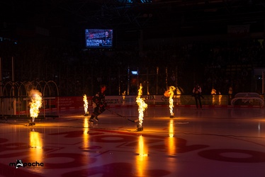 Löwen Frankfurt - Kölner Haie - 29.10.23 - 011