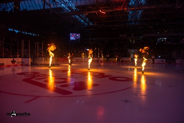 Löwen Frankfurt - Kölner Haie - 29.10.23 - 014