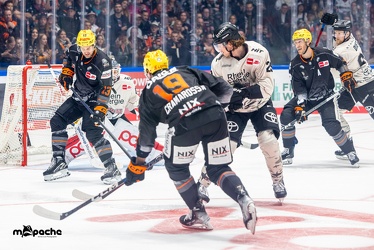 Löwen Frankfurt - Kölner Haie - 29.10.23 - 025