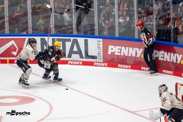 Löwen Frankfurt - Kölner Haie - 29.10.23 - 030
