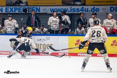 Löwen Frankfurt - Kölner Haie - 29.10.23 - 031