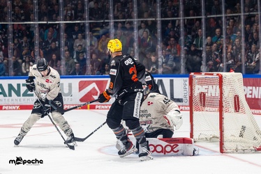 Löwen Frankfurt - Kölner Haie - 29.10.23 - 032