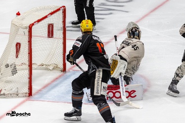 Löwen Frankfurt - Kölner Haie - 29.10.23 - 053