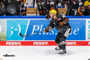 Löwen Frankfurt - Kölner Haie - 29.10.23 - 071