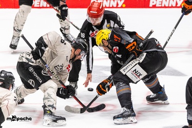 Löwen Frankfurt - Kölner Haie - 29.10.23 - 083