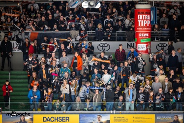 Löwen Frankfurt - Kölner Haie - 29.10.23 - 089
