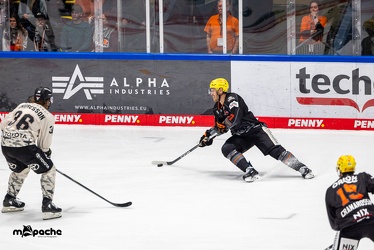 Löwen Frankfurt - Kölner Haie - 29.10.23 - 118