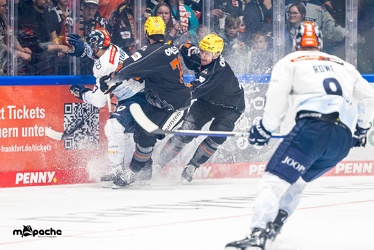 Löwen Frankfurt - ERC Ingolstadt - 3.11.23 - 028