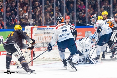 Löwen Frankfurt - ERC Ingolstadt - 3.11.23 - 035