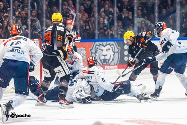Löwen Frankfurt - ERC Ingolstadt - 3.11.23 - 036