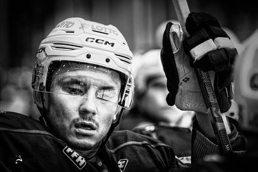 Löwen Frankfurt - ERC Ingolstadt - 3.11.23 - 042