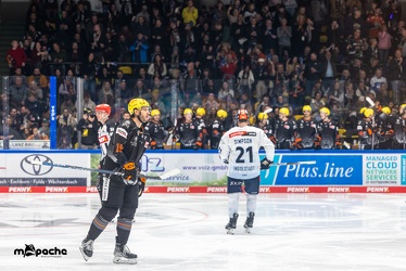 Löwen Frankfurt - ERC Ingolstadt - 3.11.23 - 056