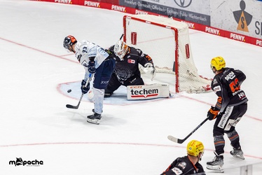 Löwen Frankfurt - ERC Ingolstadt - 3.11.23 - 076