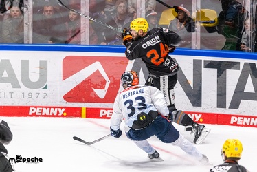 Löwen Frankfurt - ERC Ingolstadt - 3.11.23 - 084