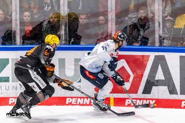 Löwen Frankfurt - ERC Ingolstadt - 3.11.23 - 085