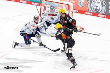 Löwen Frankfurt - ERC Ingolstadt - 3.11.23 - 103