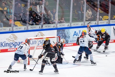 Löwen Frankfurt - ERC Ingolstadt - 3.11.23 - 105