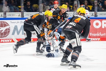 Löwen Frankfurt - ERC Ingolstadt - 3.11.23 - 110