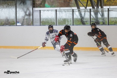U15 Löwen Frankfurt - Iserlohner EC- 18.11.23 - 010