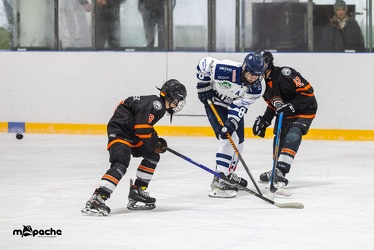U15 Löwen Frankfurt - Iserlohner EC- 18.11.23 - 024