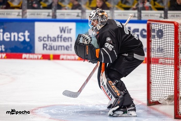 Löwen Frankfurt - Schwenninger Wild Wings -24.11.23