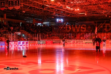 Löwen Frankfurt - Schwenninger Wild Wings - 24.11.23 - 018