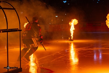 Löwen Frankfurt - Schwenninger Wild Wings - 24.11.23 - 029