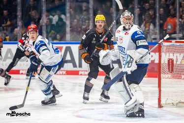 Löwen Frankfurt - Schwenninger Wild Wings - 24.11.23 - 035