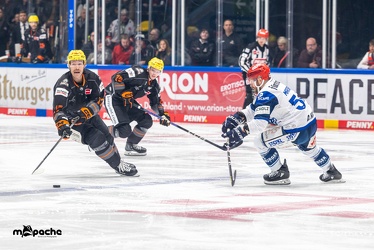 Löwen Frankfurt - Schwenninger Wild Wings - 24.11.23 - 036