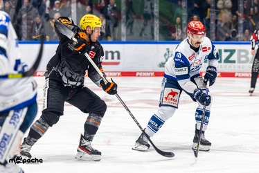 Löwen Frankfurt - Schwenninger Wild Wings - 24.11.23 - 038