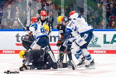 Löwen Frankfurt - Schwenninger Wild Wings - 24.11.23 - 042