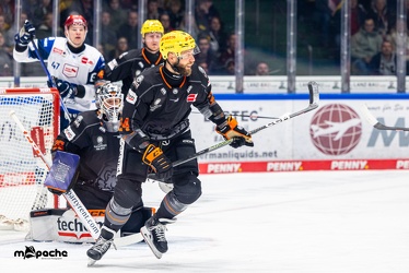 Löwen Frankfurt - Schwenninger Wild Wings - 24.11.23 - 048