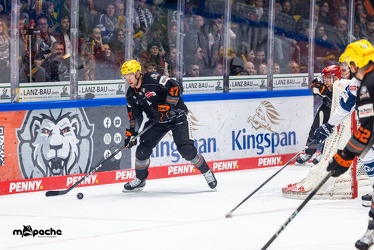 Löwen Frankfurt - Schwenninger Wild Wings - 24.11.23 - 052