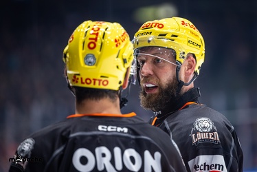 Löwen Frankfurt - Schwenninger Wild Wings - 24.11.23 - 057