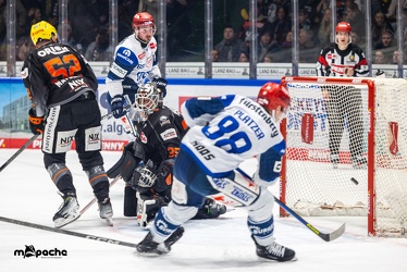 Löwen Frankfurt - Schwenninger Wild Wings - 24.11.23 - 058